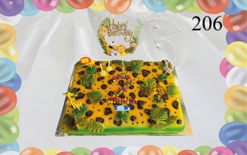 Kindergeburtstagstorte_Nr_206